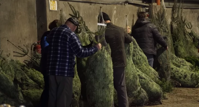 Źródło foto: materiały archiwalne Myślenice ITV