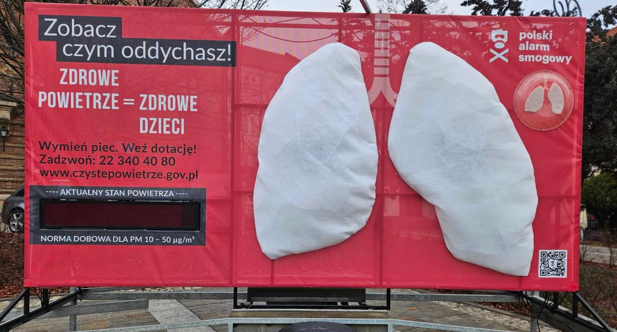 obraz - źródło: https://zobaczczymoddychasz.pl/