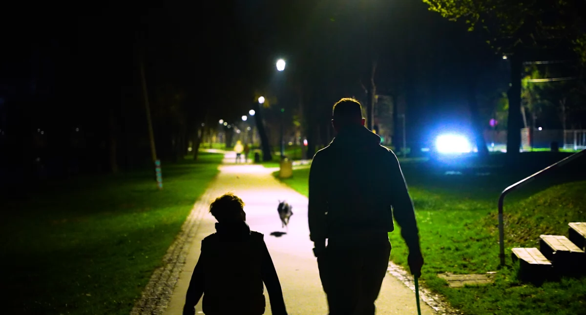 Inwestycje, oświetlenie Parku Miejskim Izydora Sztaudyngera Myślenicach - zdjęcie, fotografia