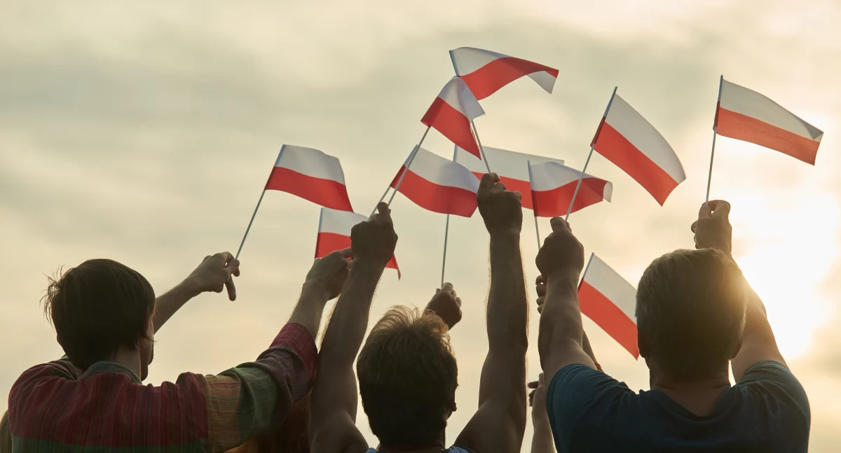 Envato - licencja dla Myślenice iTV