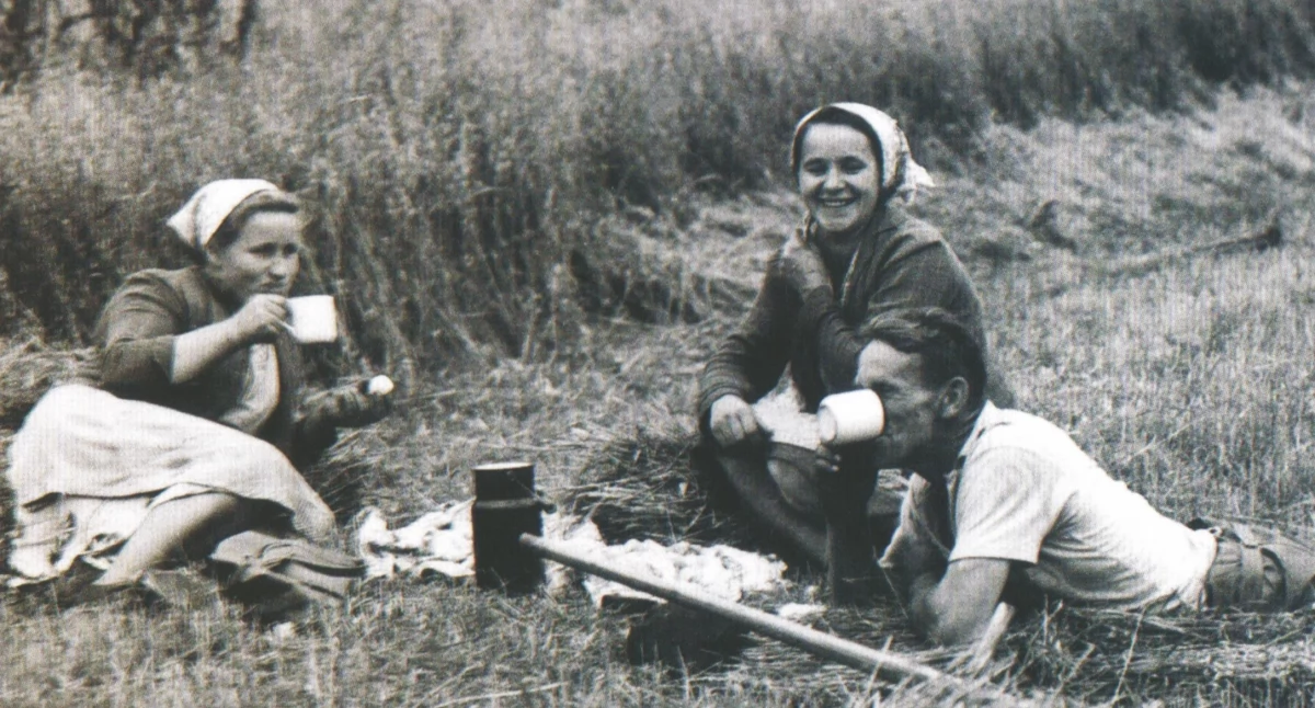 Perły Myślenic, Perły Myślenic Żniwa Wiśniowej - zdjęcie, fotografia