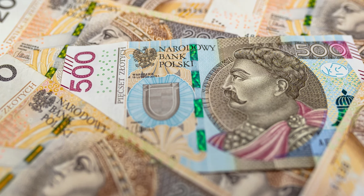 Envato - licencja dla Myślenice iTV
