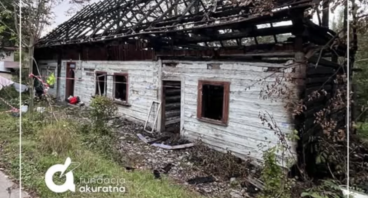 Foto: Fundacja Akuratna/Pomagam.pl 