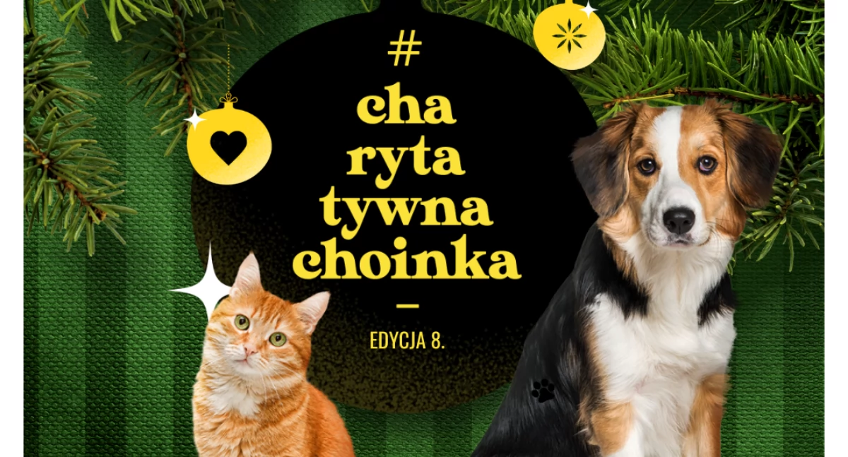 Komunikaty, Ruszyła edycja ogólnopolskiej akcji #CharytatywnaChoinka Karmimy Psiaki wesprzeć można bezdomniaki Przytul Sierściucha - zdjęcie, fotografia