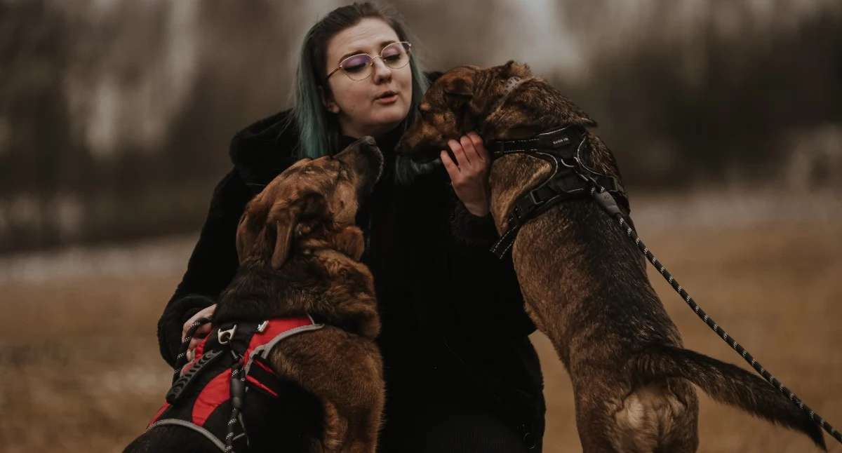 Zaproszenia , inicjatywa miłośników zwierząt pomagania Forum Karmimy Psiaki Krakowie - zdjęcie, fotografia