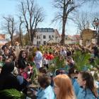 zdjęcie nr 13