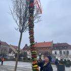 zdjęcie nr 74