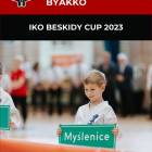 Fotka nr 0 z 12