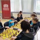 zdjęcie nr 12