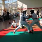 karate1
