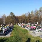 zdjęcie nr 13