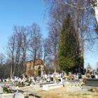zdjęcie nr 19