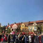 zdjęcie nr 13