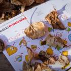 orientereeng-6