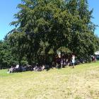 zdjęcie nr 7
