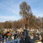 zdjęcie nr 23