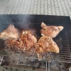 świński ryjek 1 Droginia