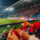 zdjęcie nr 19