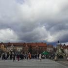 zdjęcie nr 8