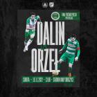 orzeł dalin