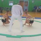 sumo3