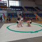 sumo_