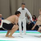 sumo8