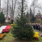 zdjęcie nr 17