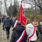 zdjęcie nr 25