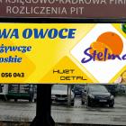 stelma 2