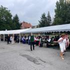 zdjęcie nr 46