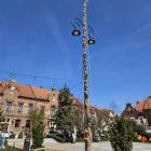 zdjęcie nr 46
