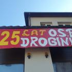 zdjęcie nr 11