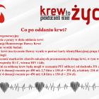Wiśniowa 2 akcja krew