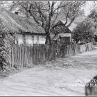 Kobyli-Potok-6