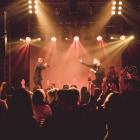 7. Koncert