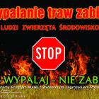 trawy3