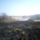 Siepraw-trawy1-18.03