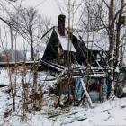 zdjęcie nr 7
