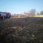 Siepraw-trawy-18.03