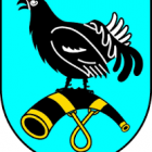 zdjęcie nr 8