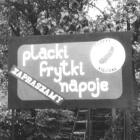 zdjęcie nr 9