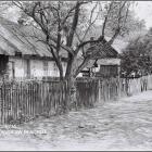Kobyli-Potok-4
