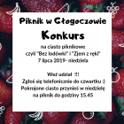 zdjęcie nr 16