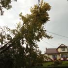 Myślenice1 31.08