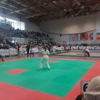 Fotka nr 1 z 13