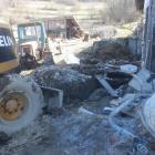 trawy4