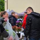 zdjęcie nr 14