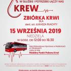zdjęcie nr 8