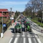zdjęcie nr 8